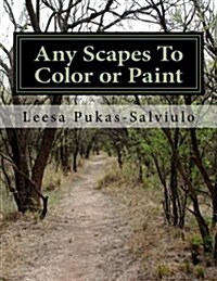 Any Scapes to Color or Paint (Paperback)