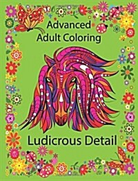 Advanced Adult Coloring: Ludicrous Detail (Paperback)