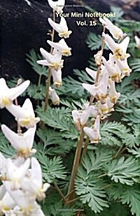 Your Mini Notebook! Vol. 15: Dutchmans Breeches! a Pretty Pair of Pantaloons Hanging on a Clothesline.. (Paperback)