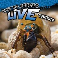 Why Do Animals Live There? (Paperback)