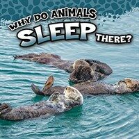 Why Do Animals Sleep There? (Paperback)