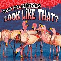 Why Do Animals Look Like That? (Paperback)