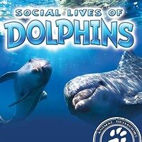 Social Lives of Dolphins (Paperback)