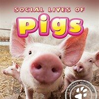 Social Lives of Pigs (Paperback)