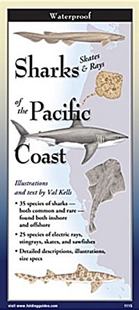 Sharks & Rays of the Pacific Coast (Other)