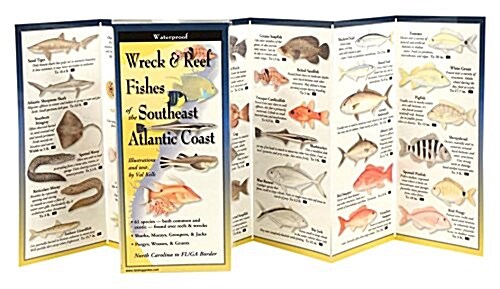 Wreck & Reef Fishes of the Se Atlantic Coast (Other)