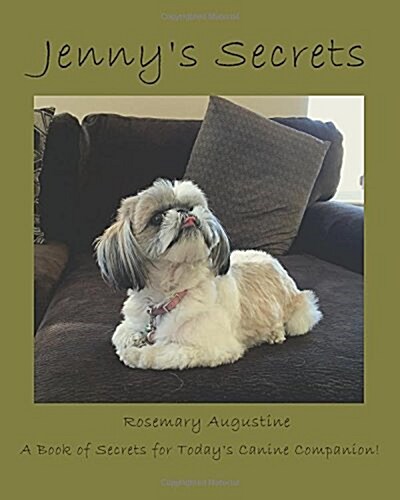 Jennys Secrets: An Internet Password Keeper (Paperback)