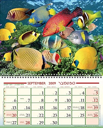 Fish 2010 3d Calendar (Paperback, Wall, Bilingual)