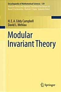 Modular Invariant Theory (Hardcover)