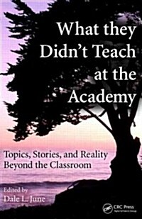 What They Didnt Teach at the Academy: Topics, Stories, and Reality Beyond the Classroom (Paperback)