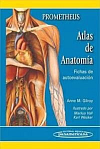 Prometheus Atlas de anatomia / Anatomy Flash Cards-Anatomy on the Go (Paperback, 1st, POC, Spiral)