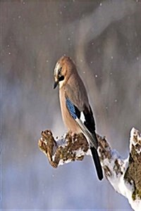 My Journal: Jay Bird on Snow Covered Branch, Blank 150 Page Lined Diary / Journal / Notebook (Paperback)