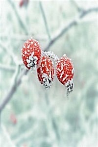 My Journal: Winter Frost on Fruit, Blank 150 Page Lined Diary / Journal / Notebook (Paperback)