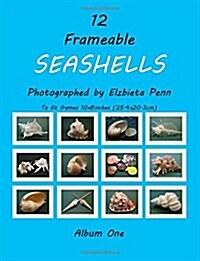 12 Frameable Seashells: To Fit Frames 10x8inches (25.4x20.3cm) (Paperback)