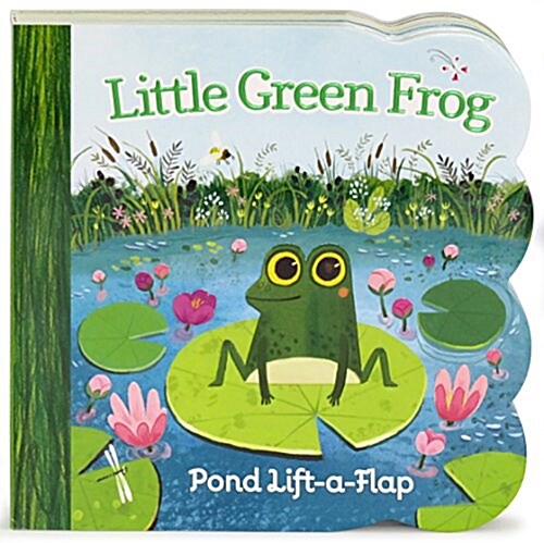 Little Green Frog (Board Books)