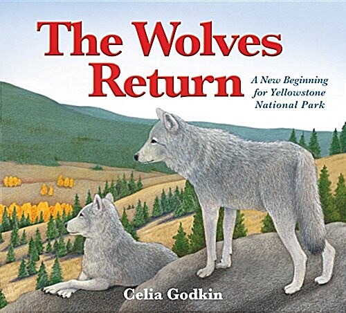 The Wolves Return: A New Beginning for Yellowstone National Park (Hardcover)