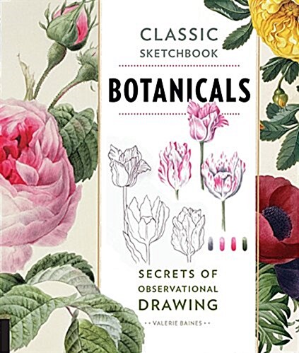 Classic Sketchbook: Botanicals: Secrets of Observational Drawing (Paperback)