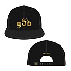 [Goods] god 15주년 콘서트 굿즈 - 스냅백