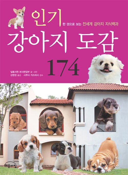 [중고] 인기 강아지 도감 174
