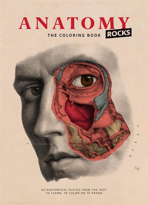 Anatomy Rocks: The Coloring Book (Hardcover)