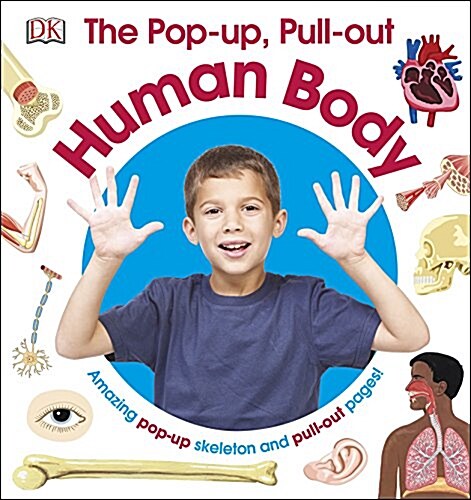 The Pop-up, Pull-out Human Body : Amazing Pop-up Skeleton and Pull-out Pages! (Hardcover)