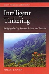 [중고] Intelligent Tinkering (Paperback)