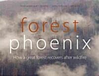 Forest Phoenix: How a Great Forest Recovers After Wildfire (Paperback)