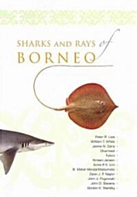 Sharks and Rays of Borneo (Paperback)
