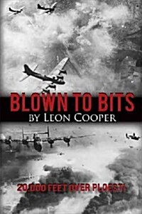 Blown to Bits: 20,000 Feet Over Ploesti (Paperback)