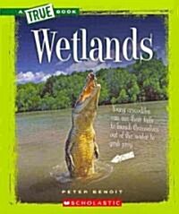 Wetlands (Paperback)