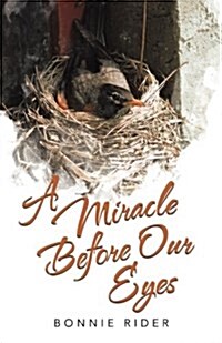 A Miracle Before Our Eyes (Paperback)