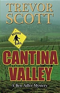 Cantina Valley: A Ben Adler Mystery (Paperback)