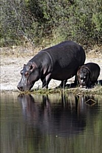 Hippopotamus Journal: 150 Page Lined Notebook/Diary (Paperback)