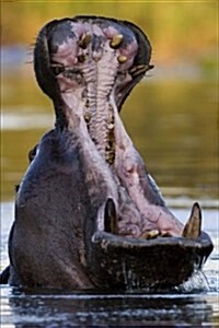 Hippopotamus with Mouth Open Wide Journal: 150 Page Lined Notebook/Diary (Paperback)