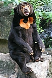 Malayan Sun Bear Journal: 150 Page Lined Notebook/Diary (Paperback)