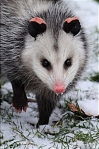 Opossum Journal: 150 Page Lined Notebook/Diary (Paperback)