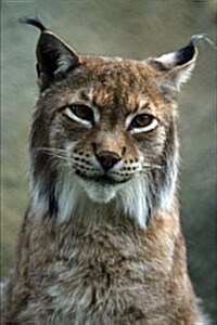 Portrait of a Lynx Journal: 150 Page Lined Notebook/Diary (Paperback)