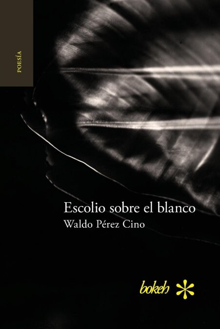 Escolio Sobre El Blanco (Paperback)