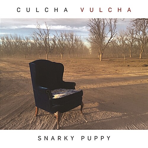 Snarky Puppy - Culcha Vulcha