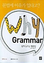 Why Grammar 입문