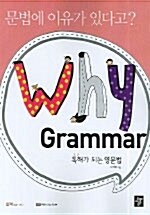 Why Grammar 실력