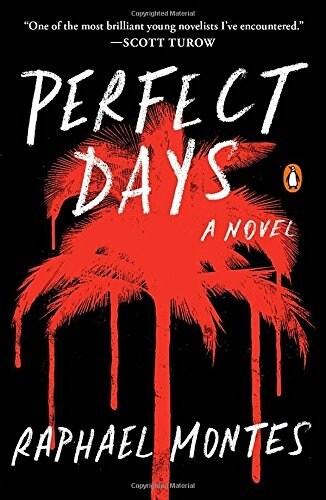 Perfect Days (Paperback)