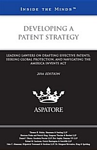 Developing a Patent Strategy 2016 (Paperback)