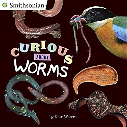 Curious About Worms (Paperback)