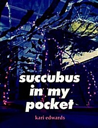 Succubus in My Pocket (Paperback)