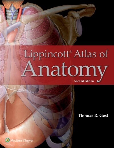 Lippincott Atlas of Anatomy (Paperback)