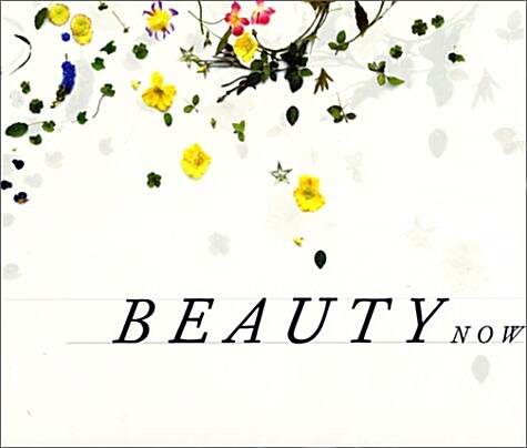 Regarding Beauty (Hardcover)