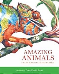 [중고] Amazing Animals (Hardcover)