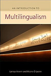 An Advanced Guide to Multilingualism (Hardcover)