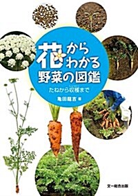 花からわかる野菜の圖鑑-たねから收穫まで (單行本)